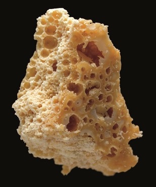 honeycomb1