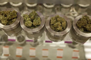 Different marijuana varieties are displayed at a medical marijuana dispensary, Kaya Shack, in Portland, Ore. Sanders’s plan would allow legal marijuana businesses to use banking services. (Gosia Wozniacka/AP)