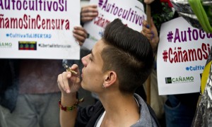 A young man smokes a joint during a rally in Mexico City on 28 October 2015. Photograph: Yuri Cortez/AFP/Getty Images