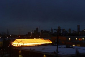 A greenhouse sits near 8th Avenue and Wyandot Street on December 22, 2015 in Denver, Colorado. (Brent Lewis, The Denver Post)