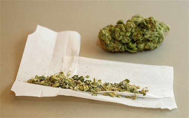 Marijuana is illegal at federal level Photo: Stuart Aylmer/ Alamy
