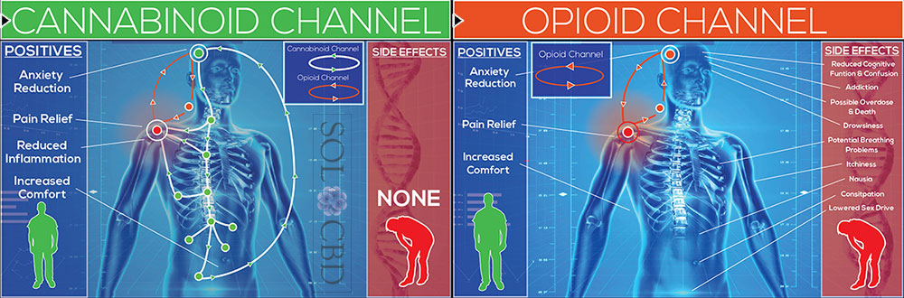 Opioid-VS-Cannabinoid