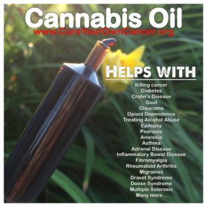 cannabis-oil