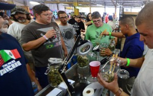 A crowd watches as marijuana is divvied up during Los Angeles’ first-ever cannabis farmers market at the West Coast Collective medical marijuana dispensary on July 4, 2014. (Frederic J. Brown, AFP/Getty Images