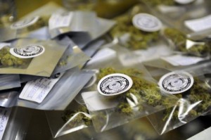 Packages of marijuana labeled for recreational use at Northern Lights Cannabis Co in Edgewater. (Seth McConnell, Denver Post file)