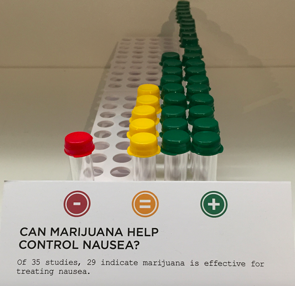 The section on medical marijuana highlighted the results of hundreds of marijuana’s clinical use, pro and con. (Photo: Andrew Bender)
