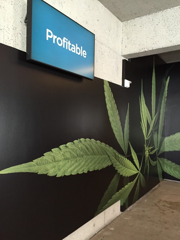 At the entrance to the Altered State exhibit, an electronic sign flashes facets of marijuana’s influence on society. (photo: Andrew Bender)