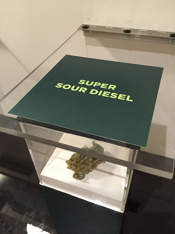 …while others let you lift a lid to sniff. (Photo: Andrew Bender)
