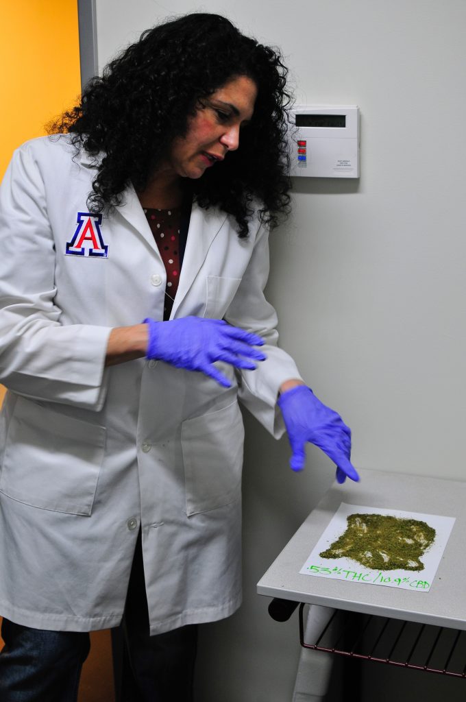 Dr. Sue Sisley points to marijuana samples she received as part of a study that’s testing whether marijuana can have a positive effect on veterans with PTSD. Photo courtesy of MAPS.