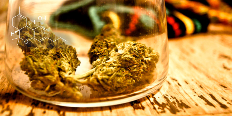 Photo credit: https://en.wikipedia.org/wiki/Tetrahydrocannabivarin#/media/File:Thcv.svg