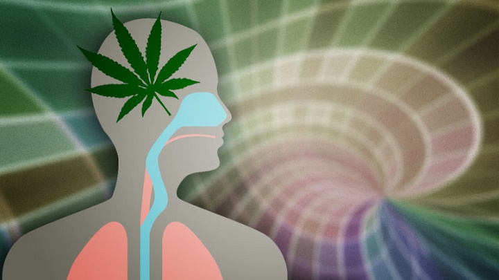 marijuana health effects