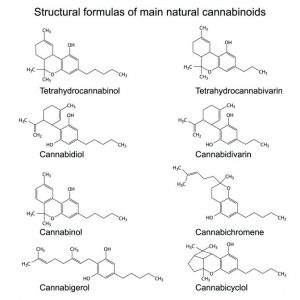 cbc-cannabinoids