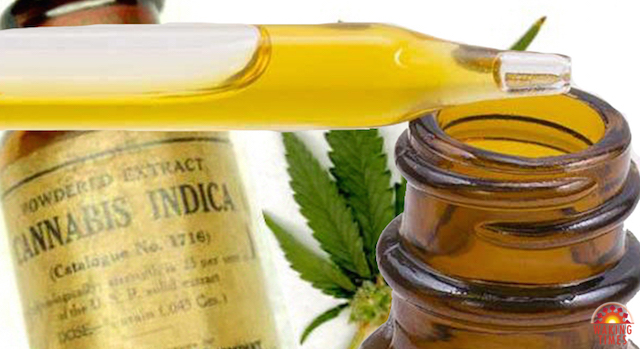 cannabis oil