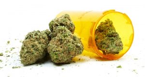 medical cannabis