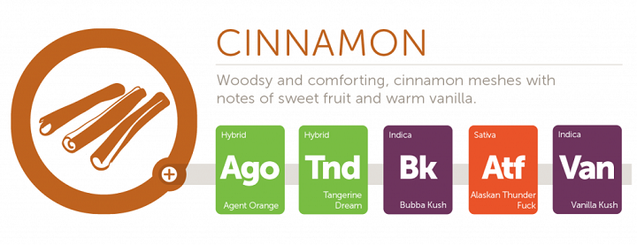 cinnamon2x