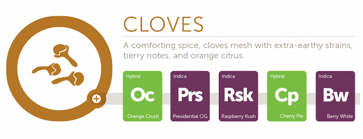 cloves2x