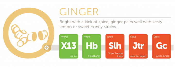 ginger2x