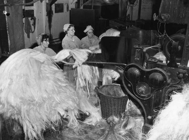 Women process hemp fibers in 1956. (L. Blandford, Topical Press Agency/Getty Images)