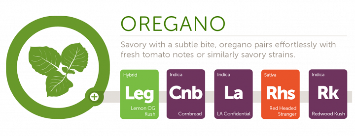 oregano2x