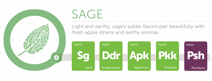 sage2x