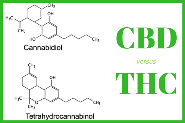 Testing for marijuana through blood or hair is done mostly for legal reasons.