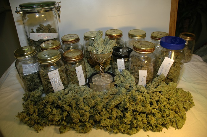 storing cannabis