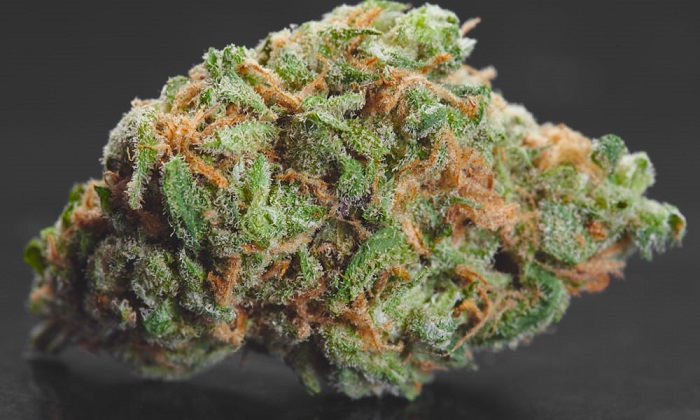 best-weed-strains-for-alzheimers-disease-1