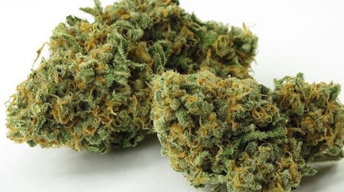 best-weed-strains-for-alzheimers-disease-5