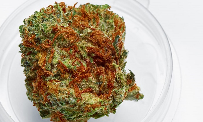 best-weed-strains-for-alzheimers-disease-6