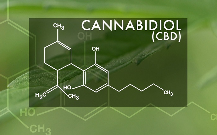 cannabidiol