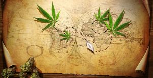 history of marijuana