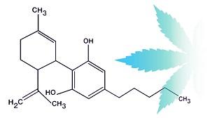 CBD and Opioids: Promising evidence