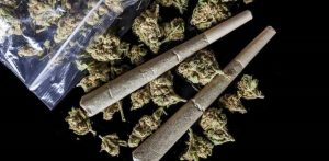 Florida Dems Challenge Medical Cannabis Smoking Ban
