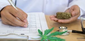 Jobs in Cannabis Industry: More & Better Paying