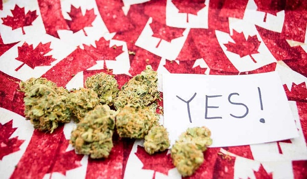 10 Cannabis Stories: Canada's $10 Dank