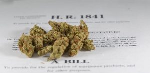States Poised to Legalize Cannabis In 2018
