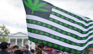 10 Cannabis Stories: Next States/Places To Legalize