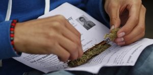 Cannabis Legalization Has Reduced Teen Pot Use