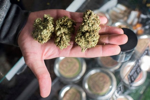 Mike Tyson to Start a Cannabis Business in California