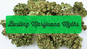 10 Most Longstanding Marijuana Myths Busted