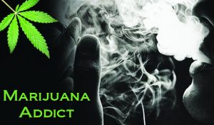 Cannabis addiction