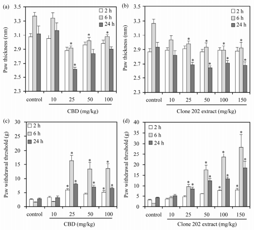 Cannabis Study: Full-Spectrum Cannabis Extracts