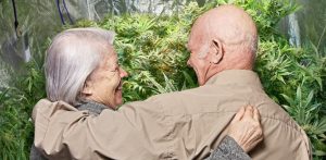 CBD For Chronic Pain in Elderly, with No Nasty Side Effects