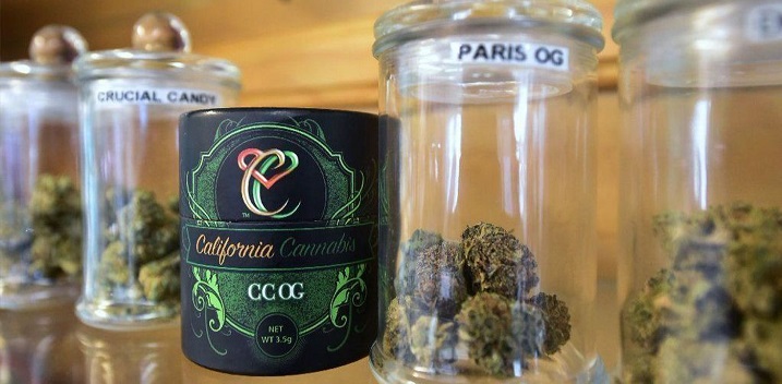 Colorado’s Legal Marijuana Safe for Now from Feds