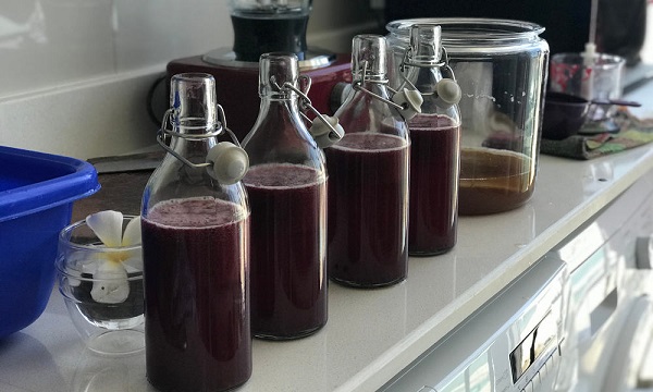 Cannabis Kombucha: The Double Brew