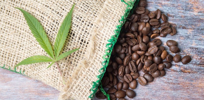 This Cannabis Growing Tech Can Improve Your Coffee