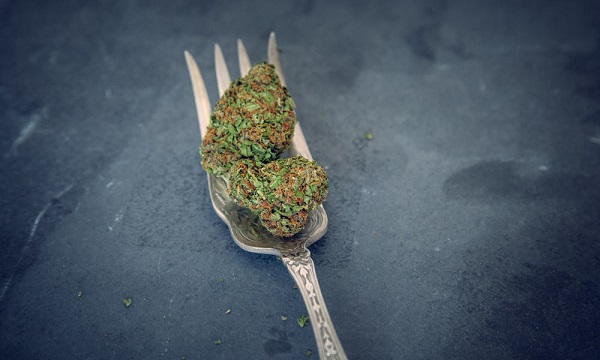 What Happens When You Eat Raw Cannabis?