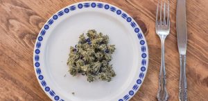 What Happens When You Eat Raw Cannabis?