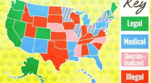 How Do Marijuana Laws Fare in the 50 States?