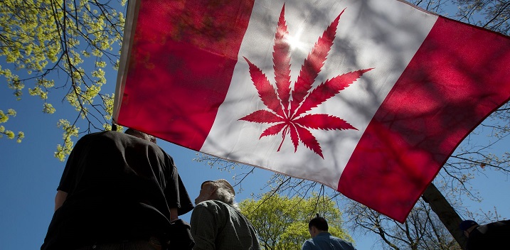 Canada Gets Ready for Legal Cannabis, World Watches